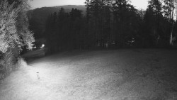 Prostřední část sjezdovky a snowpark