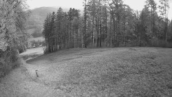 Prostřední část sjezdovky a snowpark