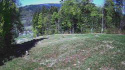 Prostřední část sjezdovky a snowpark