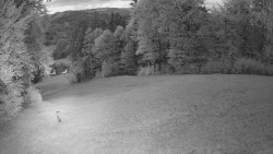 Prostřední část sjezdovky a snowpark