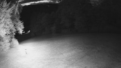 Prostřední část sjezdovky a snowpark