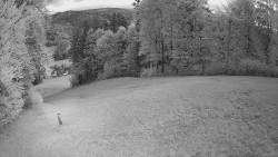 Prostřední část sjezdovky a snowpark