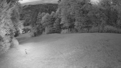 Prostřední část sjezdovky a snowpark