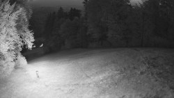 Prostřední část sjezdovky a snowpark