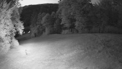 Prostřední část sjezdovky a snowpark