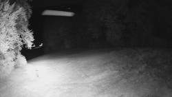 Prostřední část sjezdovky a snowpark