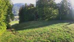 Prostřední část sjezdovky a snowpark
