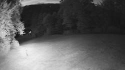 Prostřední část sjezdovky a snowpark