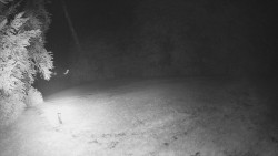Prostřední část sjezdovky a snowpark