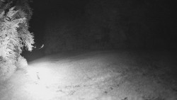 Prostřední část sjezdovky a snowpark