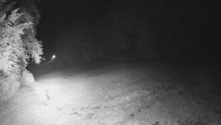 Prostřední část sjezdovky a snowpark