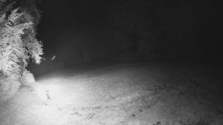 Prostřední část sjezdovky a snowpark
