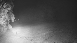 Prostřední část sjezdovky a snowpark