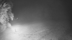 Prostřední část sjezdovky a snowpark