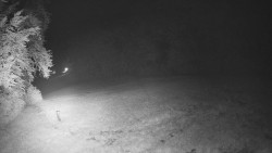 Prostřední část sjezdovky a snowpark