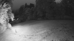 Prostřední část sjezdovky a snowpark