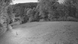 Prostřední část sjezdovky a snowpark