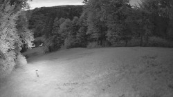 Prostřední část sjezdovky a snowpark