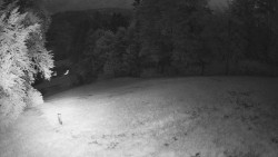 Prostřední část sjezdovky a snowpark