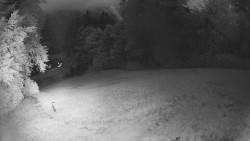 Prostřední část sjezdovky a snowpark