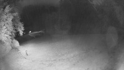 Prostřední část sjezdovky a snowpark
