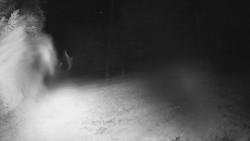 Prostřední část sjezdovky a snowpark