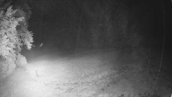 Prostřední část sjezdovky a snowpark