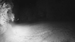 Prostřední část sjezdovky a snowpark