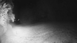 Prostřední část sjezdovky a snowpark
