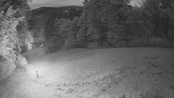 Prostřední část sjezdovky a snowpark