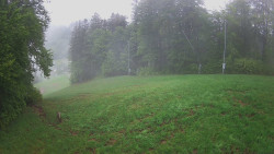 Prostřední část sjezdovky a snowpark