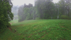Prostřední část sjezdovky a snowpark