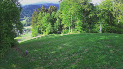 Prostřední část sjezdovky a snowpark