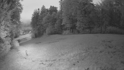 Prostřední část sjezdovky a snowpark