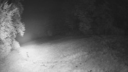 Prostřední část sjezdovky a snowpark