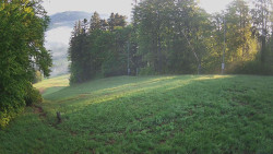 Prostřední část sjezdovky a snowpark