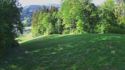 Prostřední část sjezdovky a snowpark