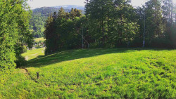 Prostřední část sjezdovky a snowpark