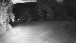 Prostřední část sjezdovky a snowpark