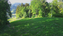Prostřední část sjezdovky a snowpark