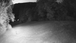 Prostřední část sjezdovky a snowpark