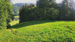 Prostřední část sjezdovky a snowpark