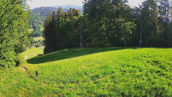Prostřední část sjezdovky a snowpark