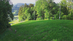 Prostřední část sjezdovky a snowpark