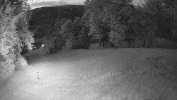 Prostřední část sjezdovky a snowpark