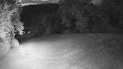 Prostřední část sjezdovky a snowpark