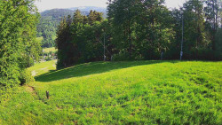 Prostřední část sjezdovky a snowpark