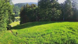 Prostřední část sjezdovky a snowpark