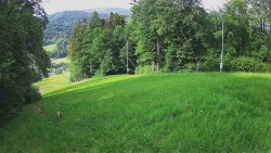Prostřední část sjezdovky a snowpark