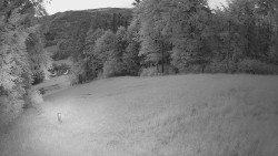 Prostřední část sjezdovky a snowpark
